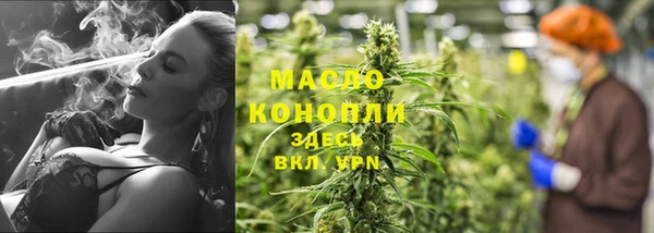 стафф Кострома