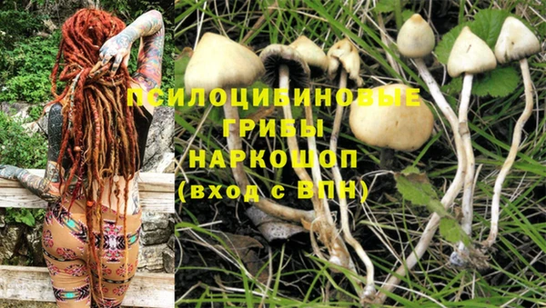 spice Лихославль