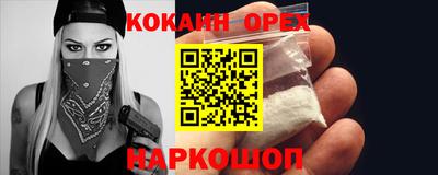 дмт Бийск