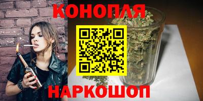 дмт Бийск