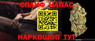 дмт Бийск
