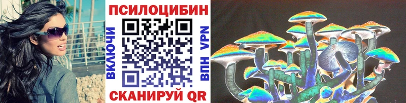 Галлюциногенные грибы Magic Shrooms  цены наркотик  Егорьевск 