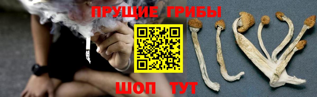 Галлюциногенные грибы Magic Shrooms  Галлюциногенные грибы мухоморы  Вход с VPN  Егорьевск 