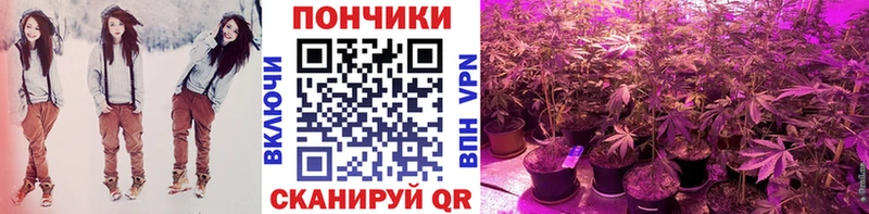Шишки марихуана MAZAR  ссылка на мегу как зайти  Егорьевск 